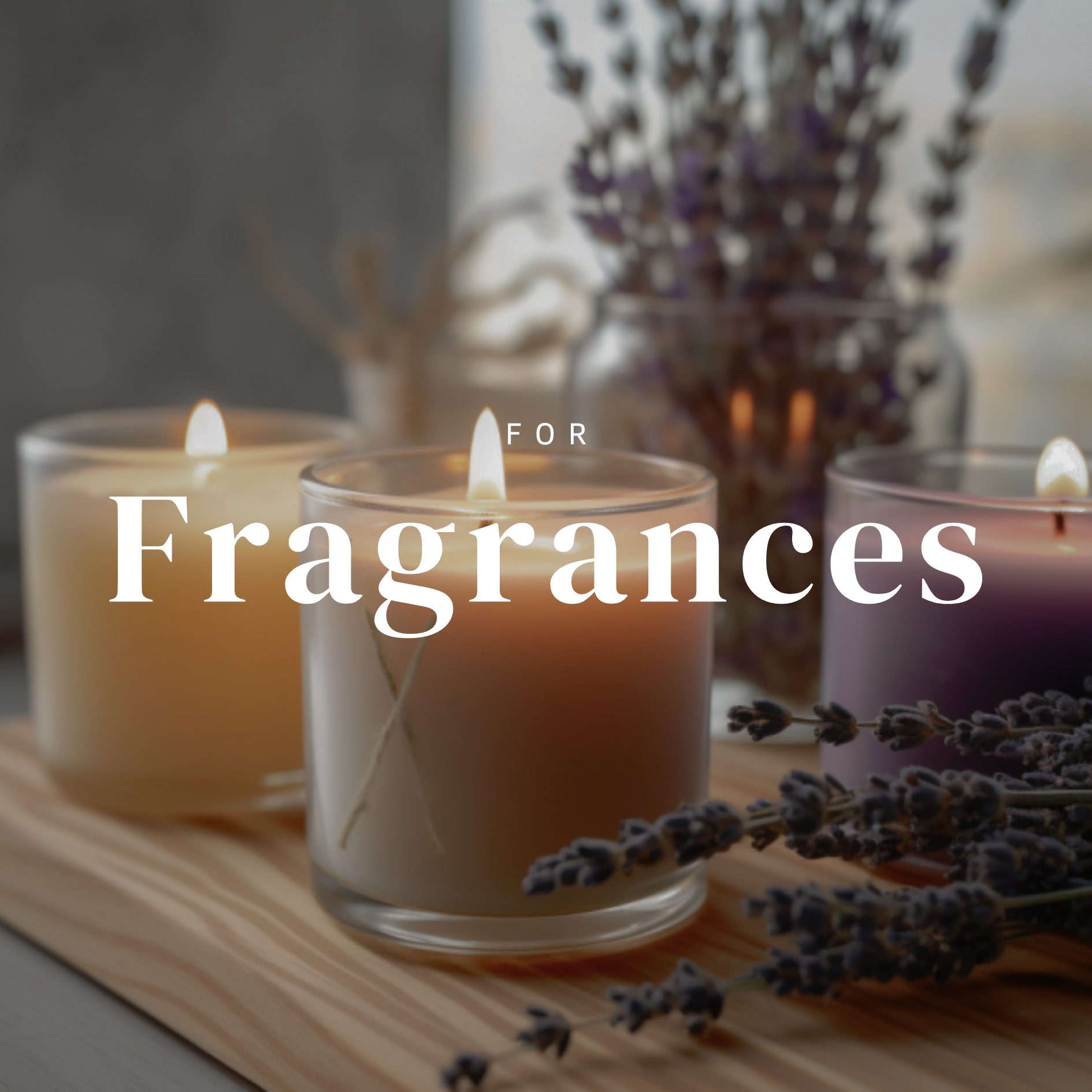 For Pooch Urban Jungle CBR