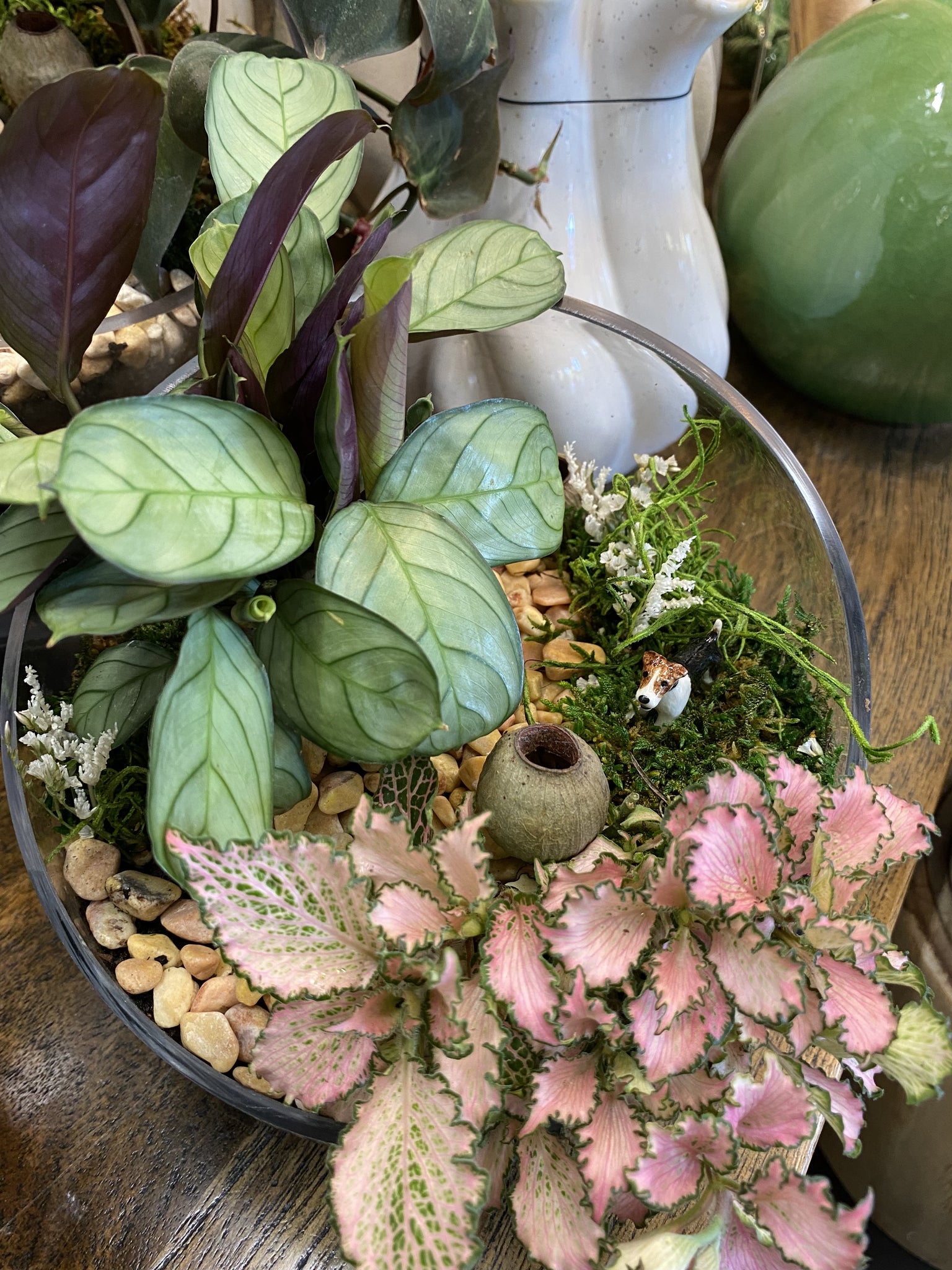 Indoor Plants Canberra Plant Delivery Canberra Urban Jungle CBR